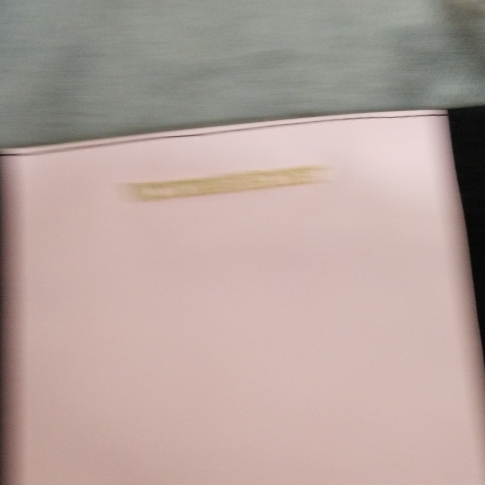 NEW VICTORIA'S SECRET CROSSBODY TOTE PURSE RARE STATEMENT BAG - Picture 4 of 6